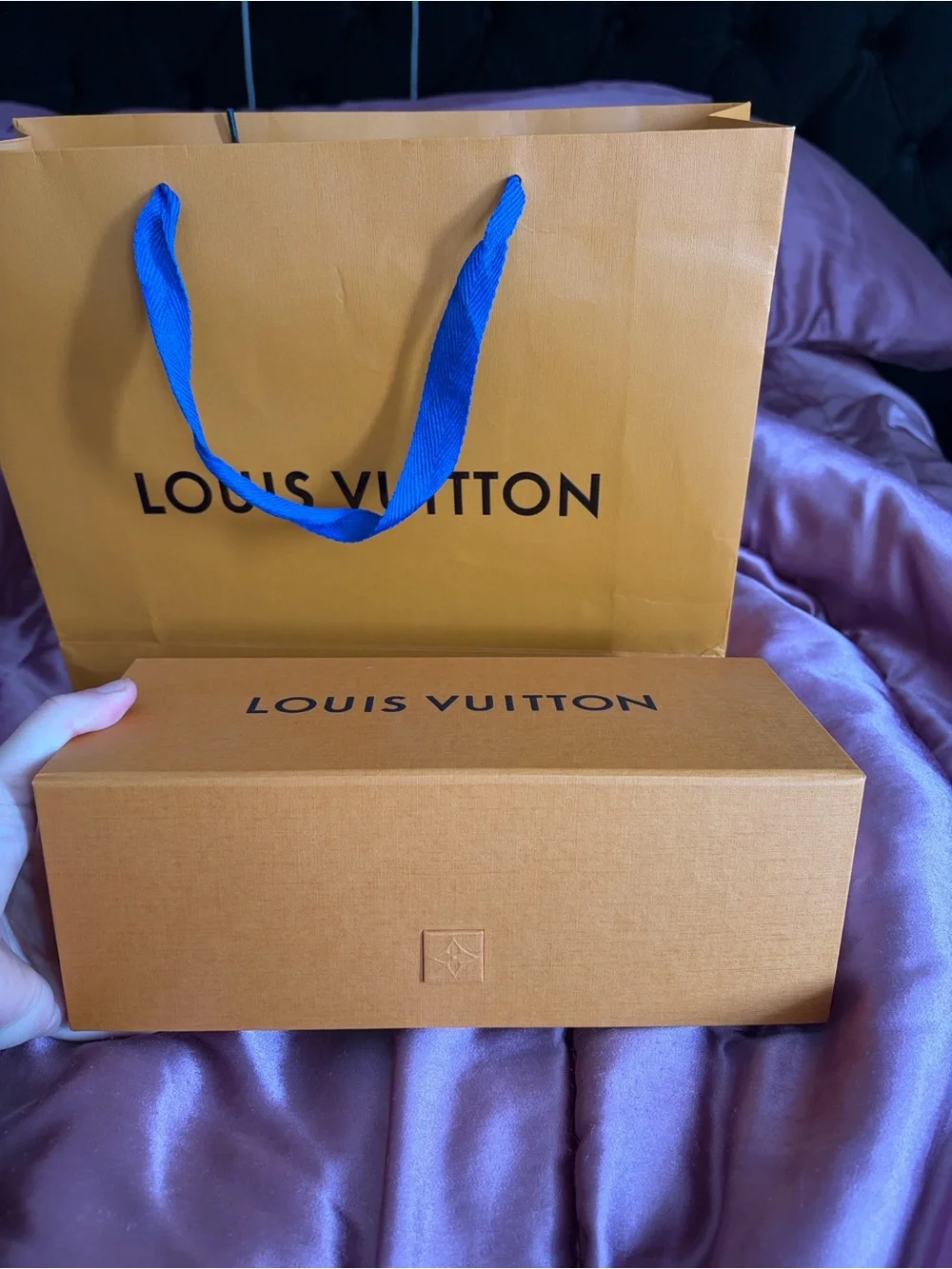 Louis Vuitton brand new